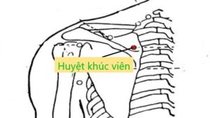 huyệt khúc viên
