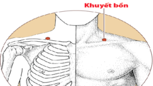 Huyệt-khuyết-bồn