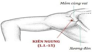 huyệt kiên ngung