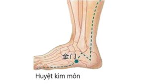 Vị trí huyệt Kim môn