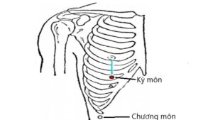 huyệt Kỳ môn