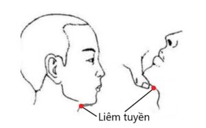 huyệt Liêm tuyền