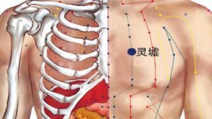 Vị trí huyệt Linh khư