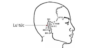 huyệt Lư tức