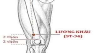 huyệt lương khâu
