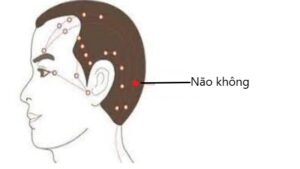 huyệt Não không