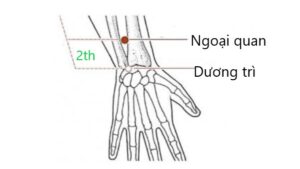 huyệt Ngoại quan