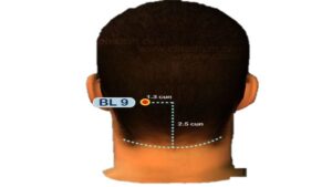 huyệt ngọc chẩm