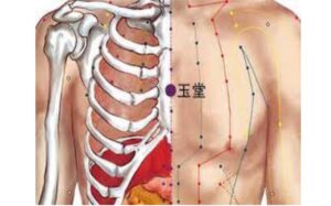 huyệt Ngọc đường