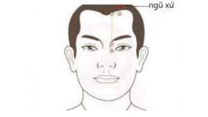 huyệt Ngũ xứ