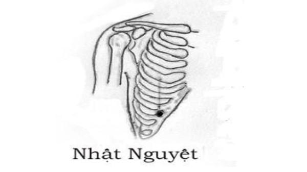 huyệt Nhật nguyệt
