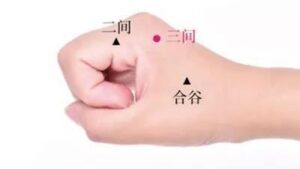 huyệt tam gian 