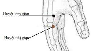 huyệt nhị gian