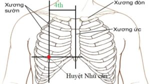 huyệt nhũ căn