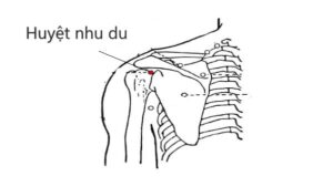 huyệt nhu du