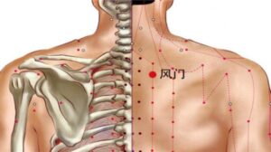 huyệt Phong môn