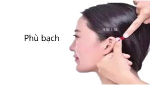 huyệt Phù bạch