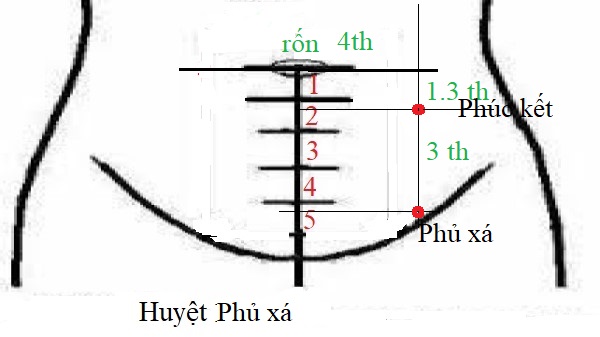 huyệt phủ xá