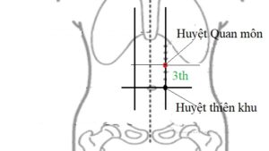 huyệt quan môn