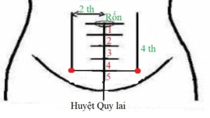 huyệt quy lai