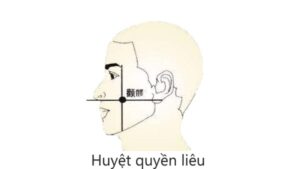 huyệt quyền liêu
