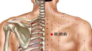 huyệt quyết âm du