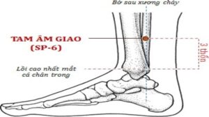 huyệt tam âm giao