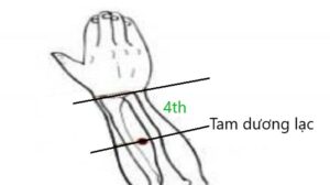 huyệt Tam dương lạc