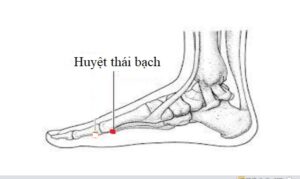huyệt thái bạch