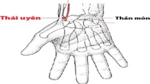Vị trí huyệt Thái Uyên -