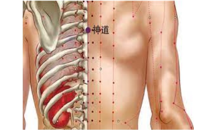 huyệt Thần đạo