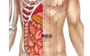 huyệt Thần khuyết