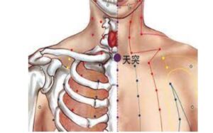 huyệt Thiên đột