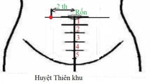 huyệt thiên khu - cách chữa táo bón