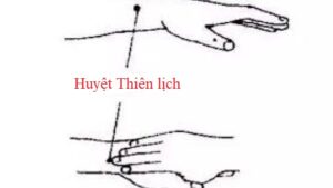 Vị trí huyệt Thiên lịch