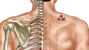 huyệt Thiên liêu