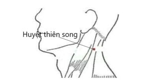 huyệt thiên song