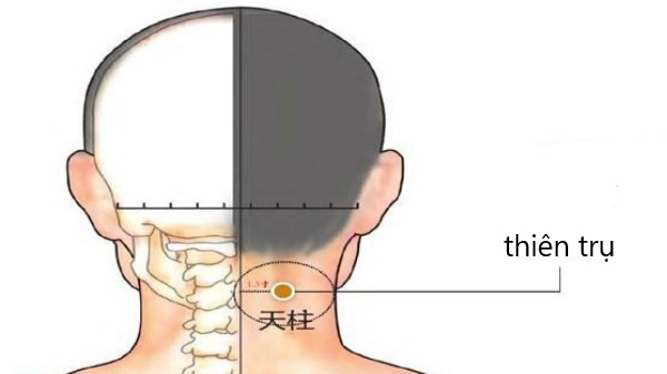 Huyệt Thiên trụ