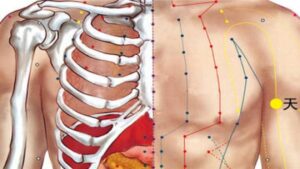 huyệt Thiên tuyền