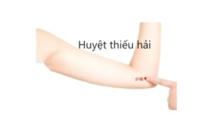 huyệt thiếu hải