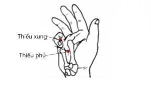 huyệt thiếu xung