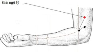 huyệt thủ ngũ lý