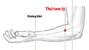 huyệt thủ tam lý