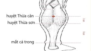 huyệt thừa cân