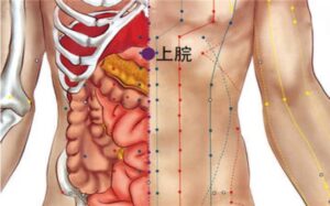 huyệt Thượng quản