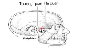 huyệt Thượng quan