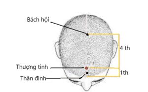 huyệt Thượng tinh