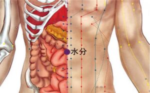 huyệt Thủy phân