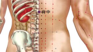 huyệt Tích trung