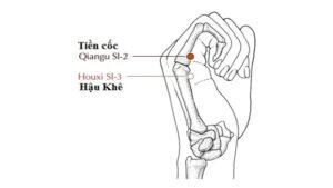 huyệt tiền cốc